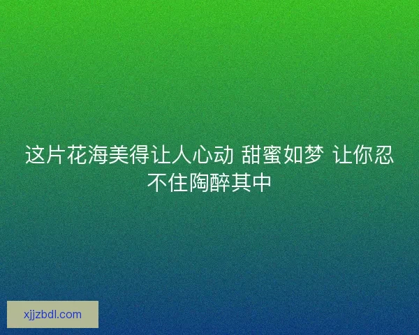 这片花海美得让人心动 甜蜜如梦 让你忍不住陶醉其中